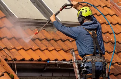 Démoussage et hydrofuge de toiture à Journiac